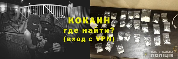 соль ск Пестово