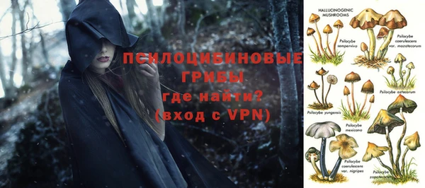 ECSTASY Баксан