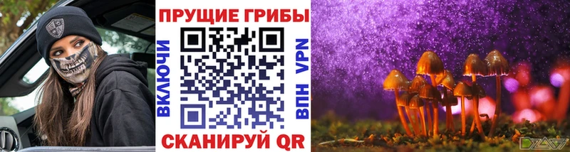 Псилоцибиновые грибы прущие грибы  Ленск 
